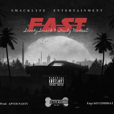 Fast (feat. Truly Modest) - Single