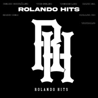 Rolando Hits (feat. Vandalic, Kallpa RH, Dank Sa, The Seler, Weros LCK & Saiko Hem) - Single - Remik Gonzalez