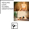 Healing Leaf, Global Meditation