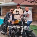 Voglio Sulo Na Sera