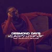 Nobody Like Me (feat. Willie Hyn & Sir Flame) - Single - Desmond Days