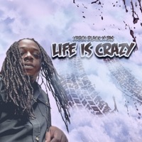 Life Is Crazy - Single - Sho' Cheese