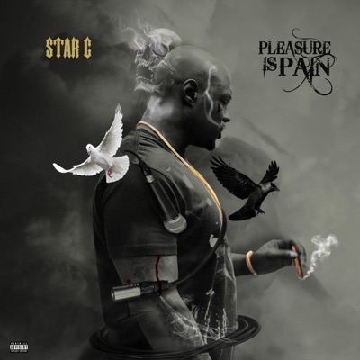 PLEASURE IS PAIN (feat. Lava Rehim) - Single