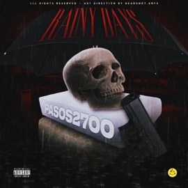 Rainy Days Pasos2700