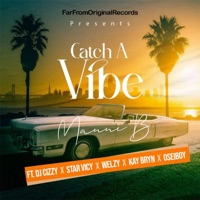 Catch a Vibe (feat. DJ Cizzy, Welzy, Star Vicy, Kay Bryn & Oseiboy) - Single - Manni B