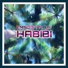 Habibi (feat. ILY) [Remix] - Single