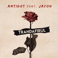 Trandafirul (feat. Jayoh) - Single - Antidot