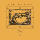 Slow Fire Pistol - Who Decides