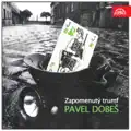 Pavel Dobes