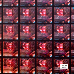 Shelter - Single