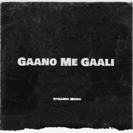 Gaano Me Gaali Dynamic Music