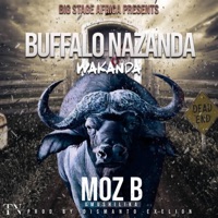 Buffalo Nazanda - Single - Moz B Umushilika