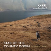 Star of the County Down (Ambient Mix) artwork
