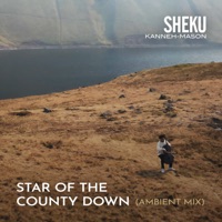 Star of the County Down (Ambient Mix) - Single - Sheku Kanneh-Mason