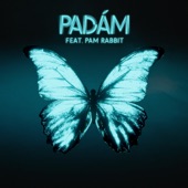 Padám (feat. Pam Rabbit) artwork