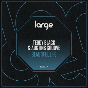 Beautiful Life - Single