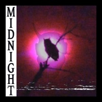 Midnight - Single - ARGXNTUM & BXGR