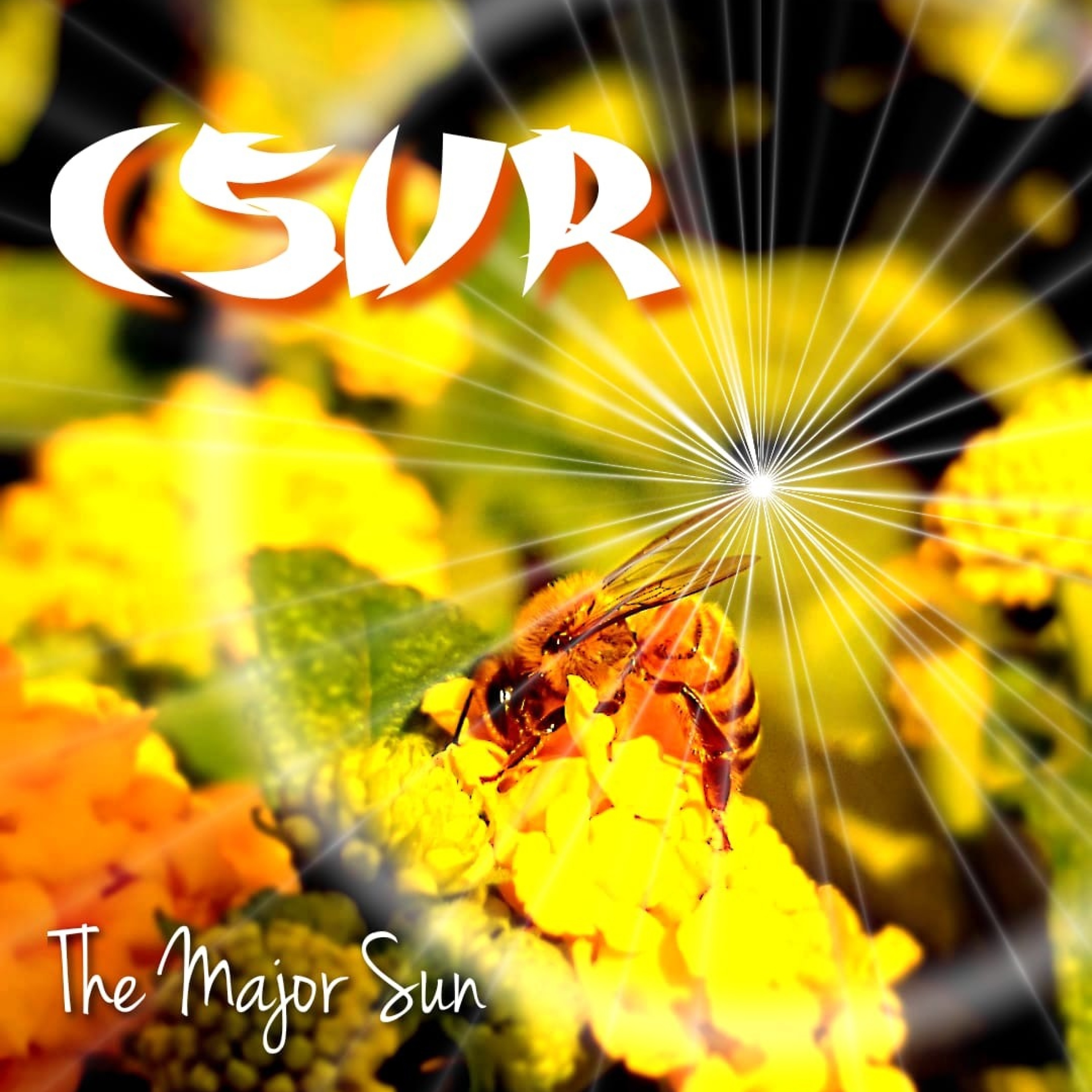 The Major Sun - Single