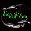 Zdarlight cover art