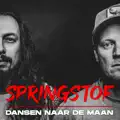 Dansen Naar De Maan