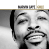 Marvin Gaye & Tammi Terrell - Ain't No Mountain High Enough  artwork