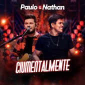 Ciumentalmente (Ao Vivo) artwork