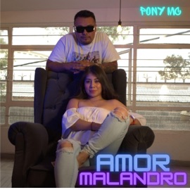 Amor Malandro Pony Mc
