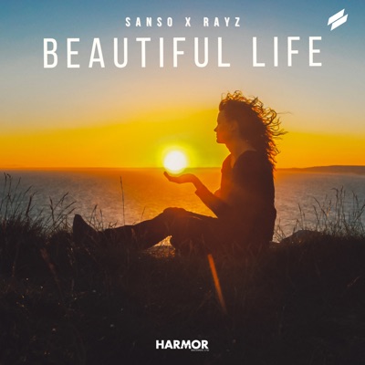 Beautiful Life - Single