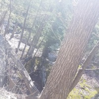 grown (feat. Seejayxo) - Single - m4rsyy