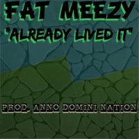 Already Lived It - Single - FAT MEEZY MUSIC