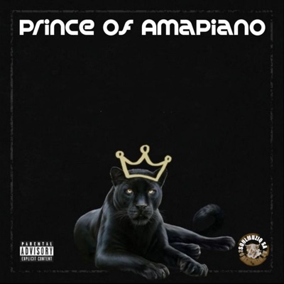 Prince of Amapiano - EP