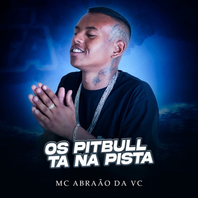 Os Pitbull Tá na Pista - Single