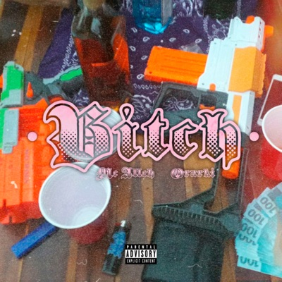 Bitch - Single