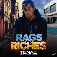 Rags to Riche$ - Single - Tenae