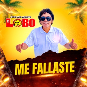 Me Fallaste - Single