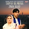 Tappay BS Meena Zinda Baad - Single