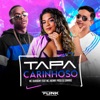 Tapa Carinhoso (feat. mc jhenny & DJ Samrio) - Single