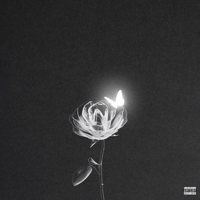 LET YOU KNOW - Single