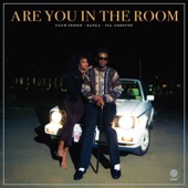 Are You In the Room artwork