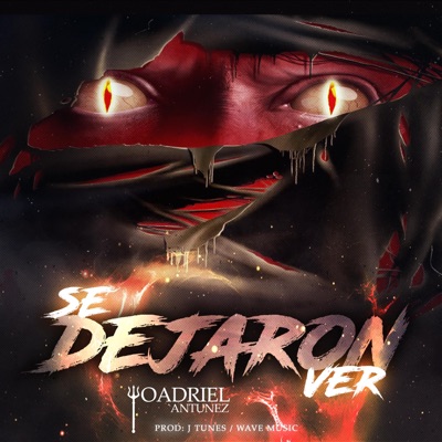 Se Dejaron ver - Single