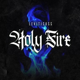 Holy Fire Leviticuss