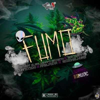 FUMO (feat. Sammy EBS, Juanitido, AAelpiña & Miichelkors) - Single