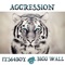 Agression - Bigg Wall & Its64boy lyrics