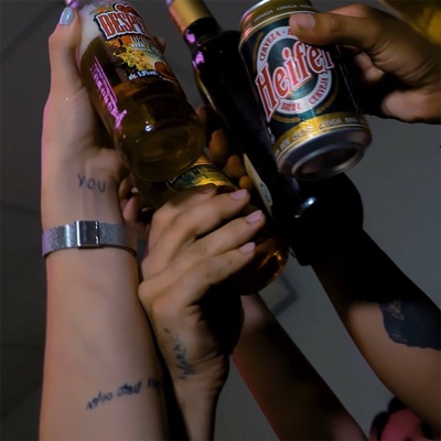 Voy a Pegar el Boom - Single