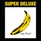 I'll Be Your Mirror (Alternate Mix) - The Velvet Underground & Nico lyrics