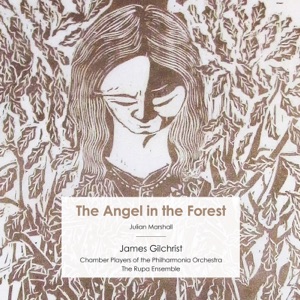 Julian Marshall: The Angel in the Forest - EP