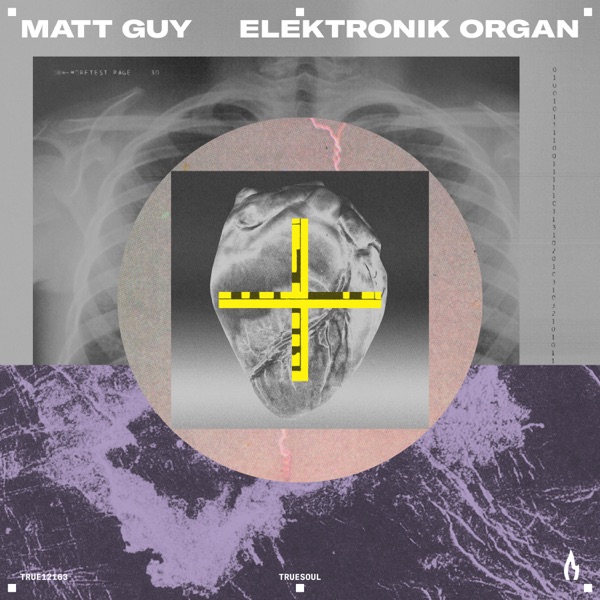 Elektronik Organ - Single
