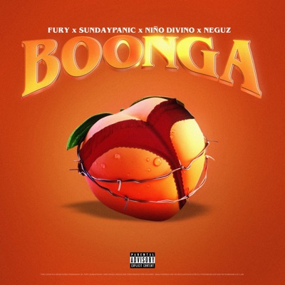 Boonga (feat. Wamra Fury & Sundaypanic) - Single