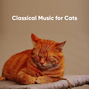 Cat Classical