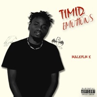 Timid Emotions - Malkolm K